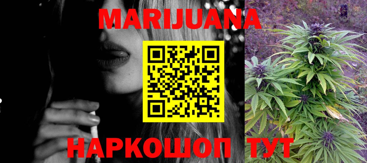 Канабис планчик Дубна